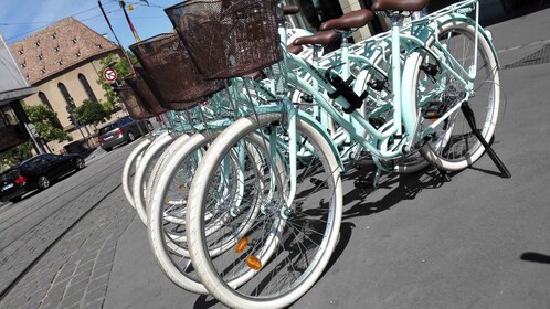 Strasbourg: 1-Day Bike Rental