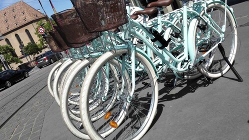 Strasbourg : Location de vélo pour une journée