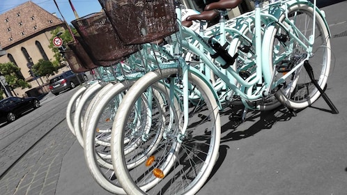 Strasbourg: 1-Day Bike Rental