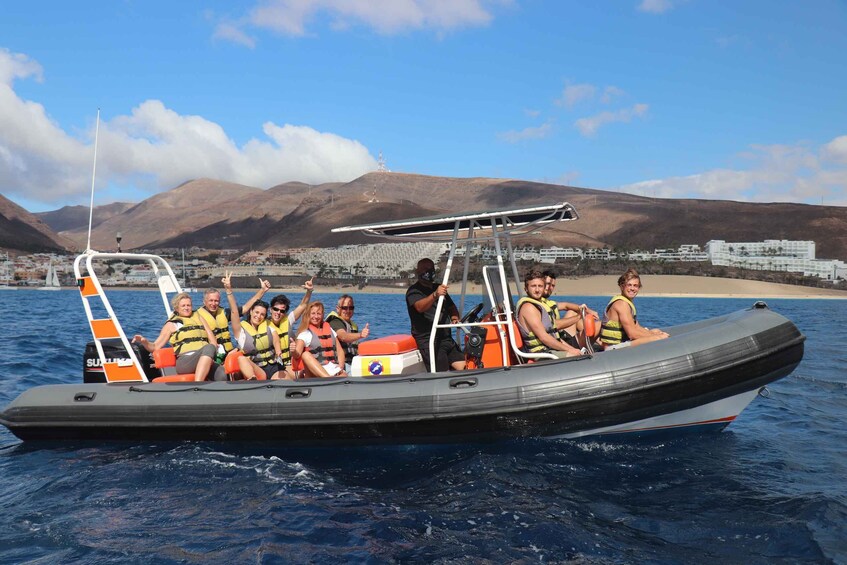 Picture 8 for Activity From Morro Jable: Dolphin and Whale Watching by Speedboat