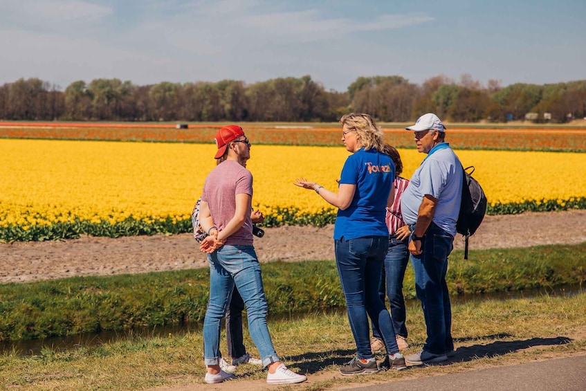 Picture 3 for Activity Keukenhof: Flower Fields Small-Group Cultural Bike Tour