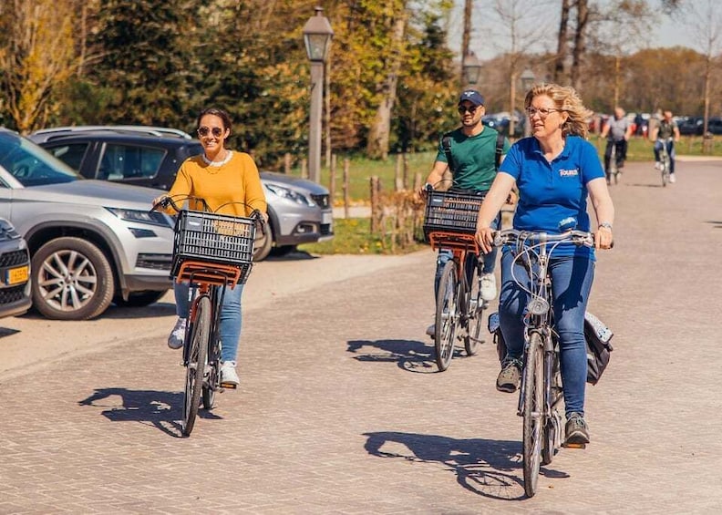 Picture 9 for Activity Keukenhof: Flower Fields Small-Group Cultural Bike Tour