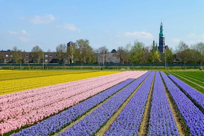 Keukenhof: Blumenfelder Kleingruppen-Kultur-Radtour