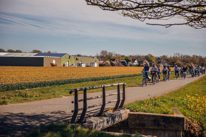 Picture 5 for Activity Keukenhof: Flower Fields Small-Group Cultural Bike Tour