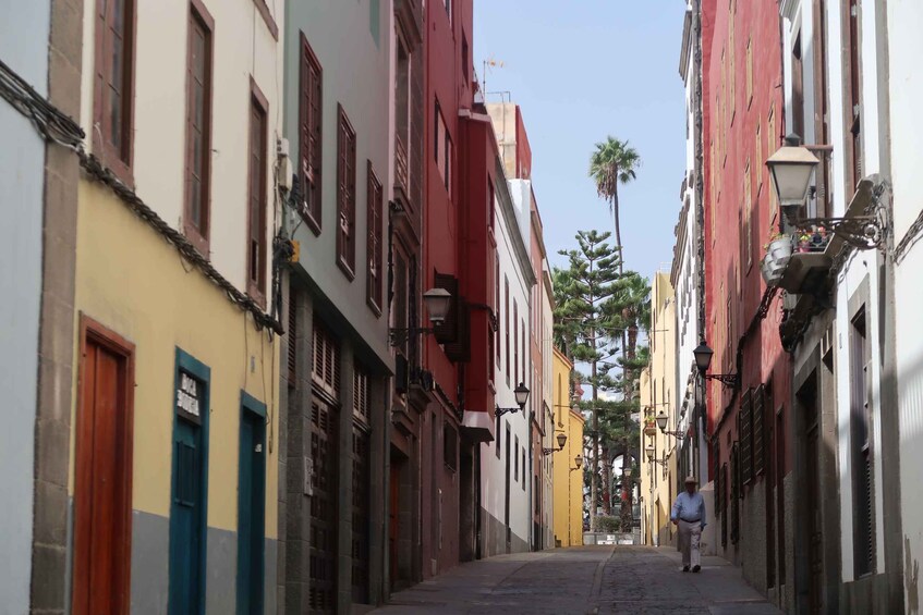 Picture 4 for Activity Walking tour Vegueta (old town Las Palmas)