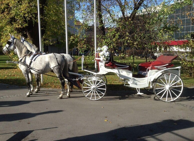 Picture 2 for Activity Vienna: 30-Minute Fiaker Ride in the Old Town