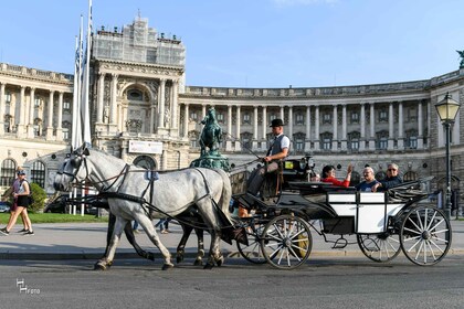 Wien: 30-minutters Fiaker-tur i den gamle bydel