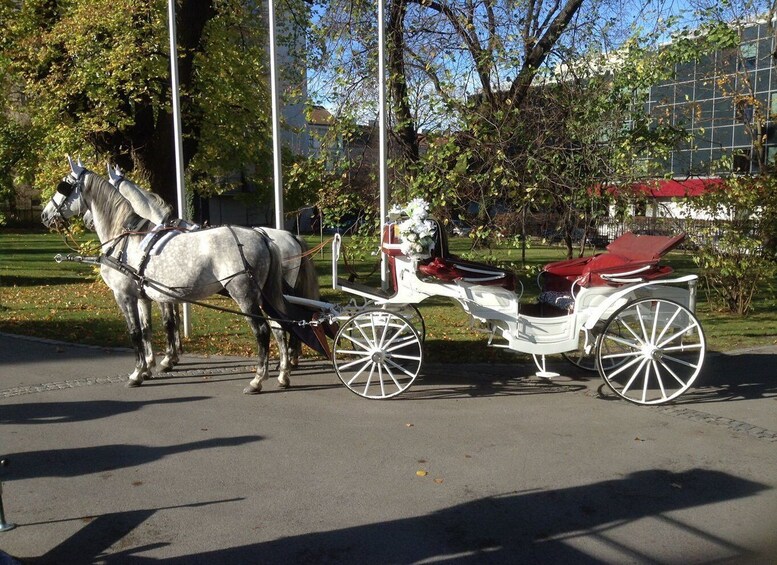 Picture 2 for Activity Vienna: 30-Minute Fiaker Ride in the Old Town