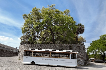 Savannah: Hop-On Hop-Off Historic Trolley Tour