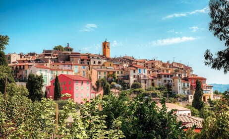 Excursión privada de un día a la Riviera Francesa y Provenza