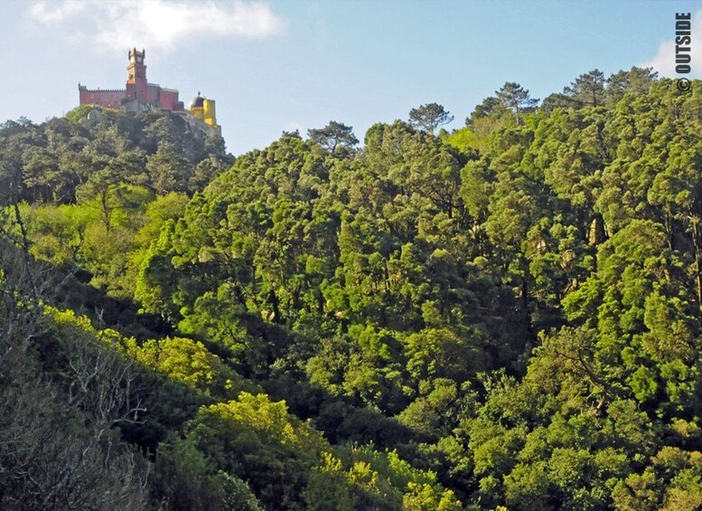 Sintra: 3.5-Hour Rock Climbing Experience