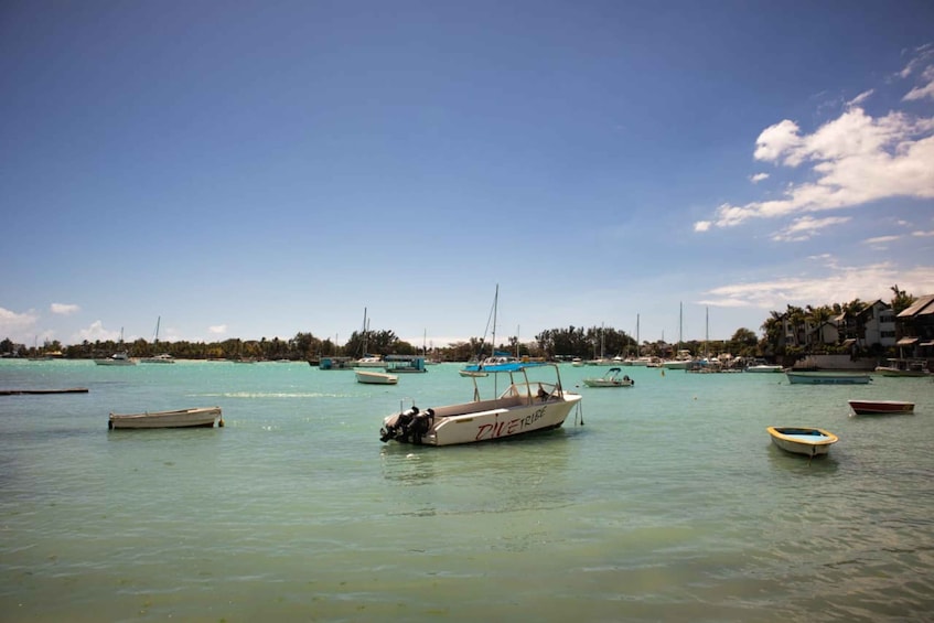 Picture 1 for Activity Grand Baie: Guided Walking Food Tour