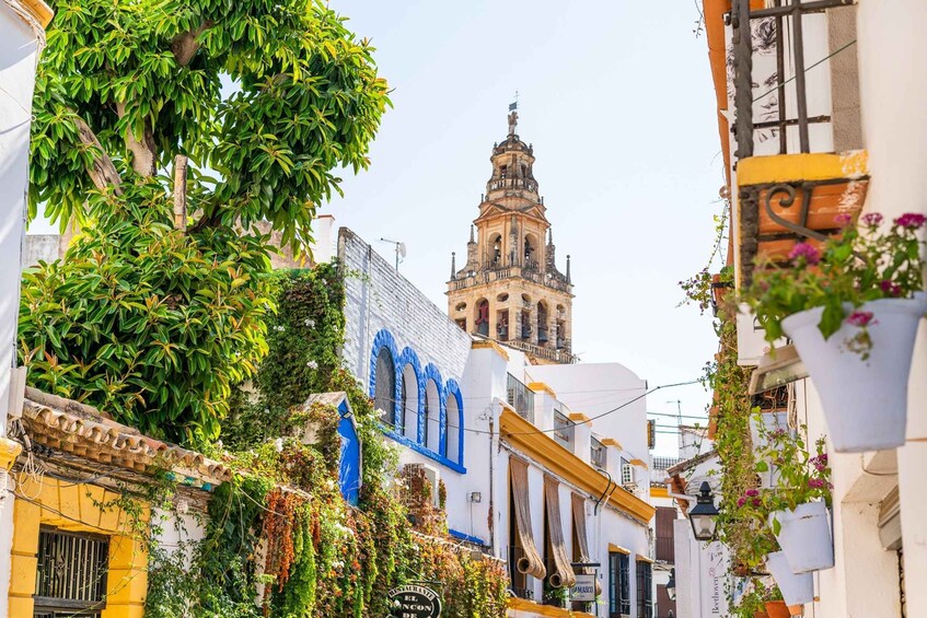 Picture 13 for Activity Córdoba: Mosque, Jewish Quarter & Synagogue Tour with Ticket