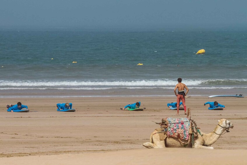 Essaouira: 4 Hour Surf Lesson