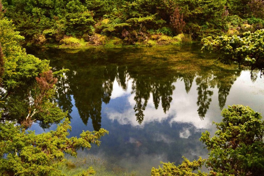 Picture 3 for Activity Terceira Island: Mistérios Negros Hike