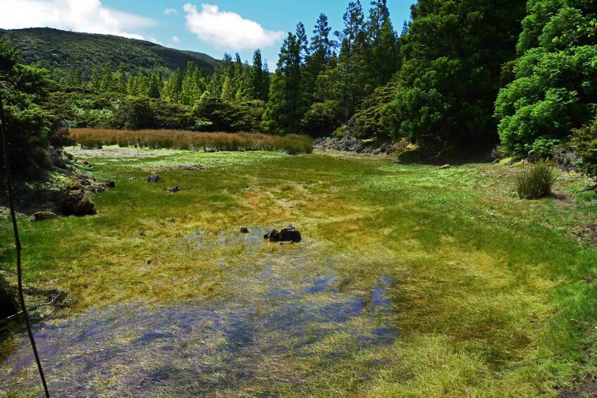 Picture 2 for Activity Terceira Island: Mistérios Negros Hiking