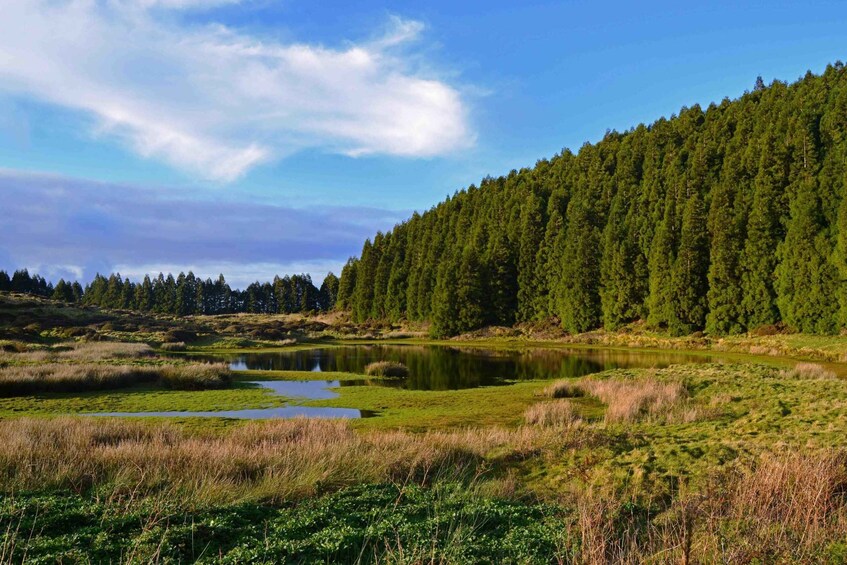 Terceira Island: Mistérios Negros Hike