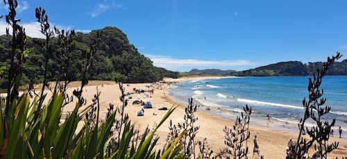 奥克兰：大教堂湾、热水海滩和科罗曼德尔之旅