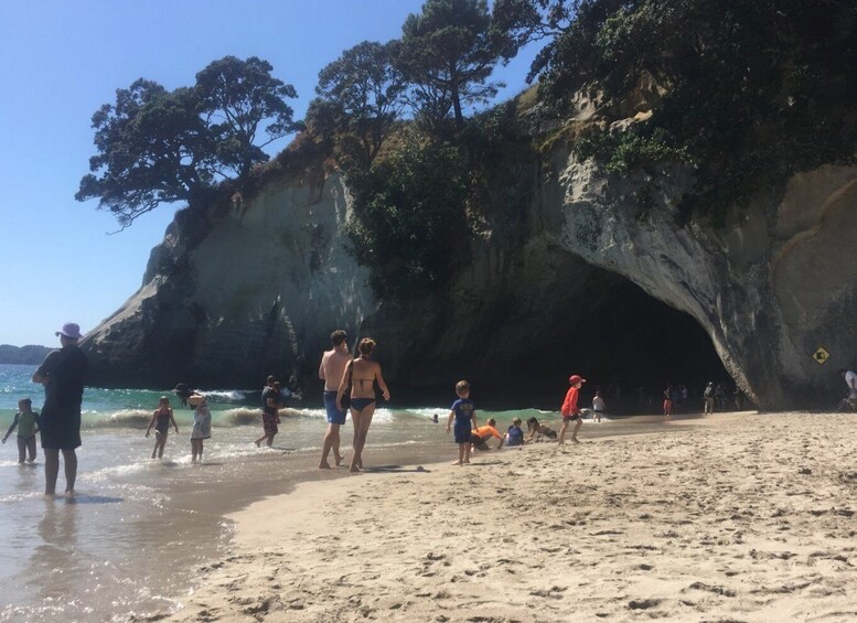 Picture 6 for Activity Auckland: Coromandel, Cathedral Cove & Hot Water Beach Tour