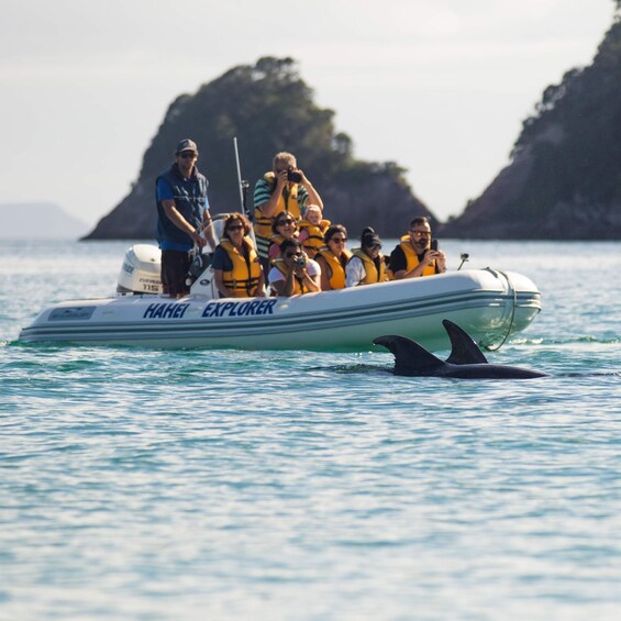 Picture 2 for Activity Auckland: Coromandel Peninsula & Hot Water Beach Tour