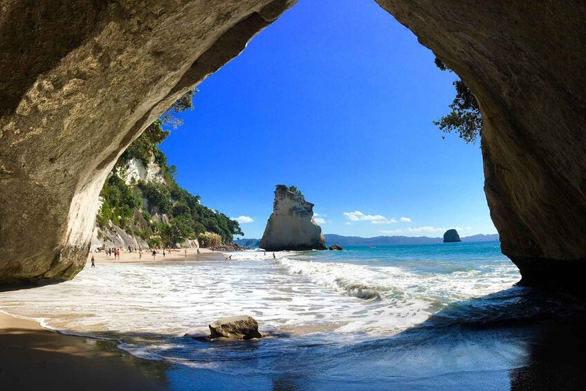 Picture 6 for Activity Auckland: Coromandel Peninsula & Hot Water Beach Tour