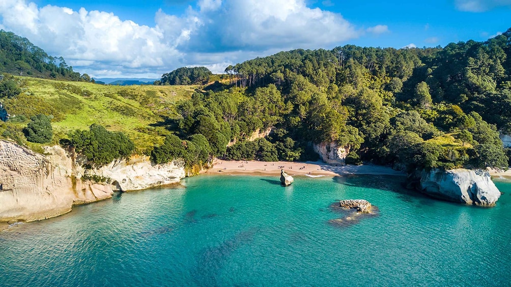 Picture 3 for Activity Auckland: Coromandel Peninsula & Hot Water Beach Tour