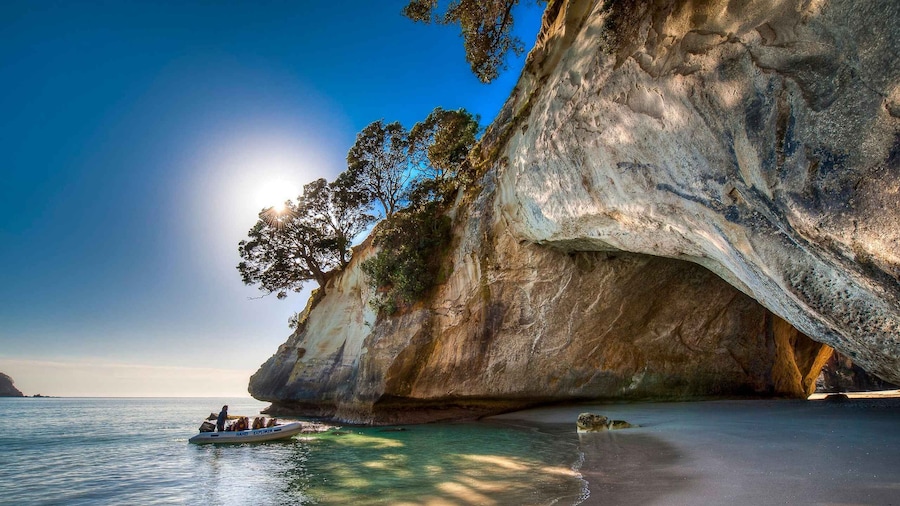 Picture 5 for Activity Auckland: Coromandel Peninsula & Hot Water Beach Tour