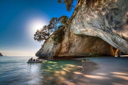 Auckland: Cathedral Cove, Heet Water Strand & Coromandel Tour