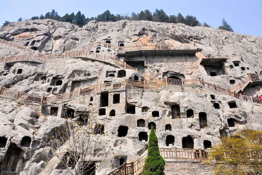 Picture 1 for Activity Luoyang Private Day Tour Longmen Grottoes Shaolin Temple