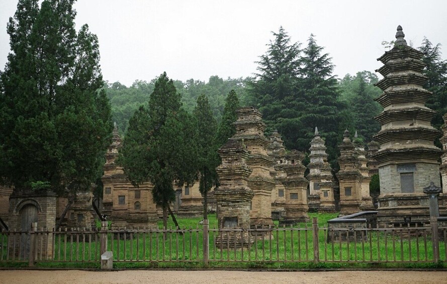 Picture 3 for Activity Luoyang Private Day Tour Longmen Grottoes Shaolin Temple