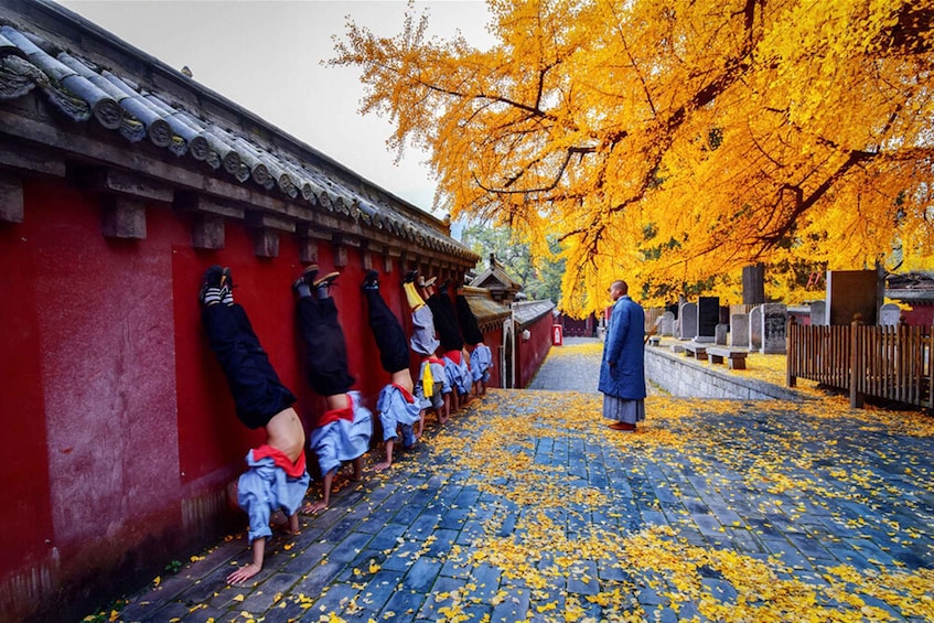 Picture 2 for Activity Luoyang Private Day Tour Longmen Grottoes Shaolin Temple