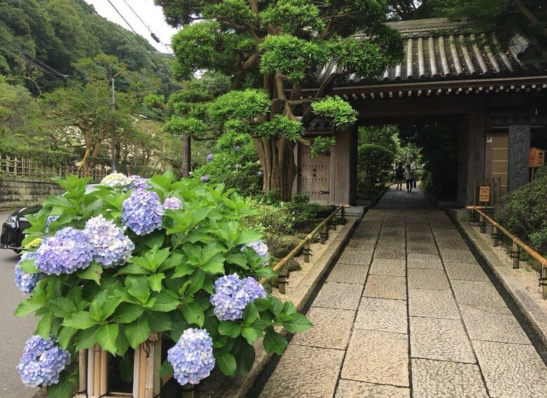 Picture 7 for Activity Kamakura: Private History and Heritage Tour by Rickshaw