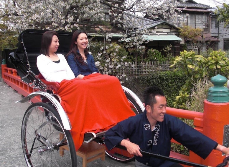 Kamakura: Private History and Heritage Tour by Rickshaw