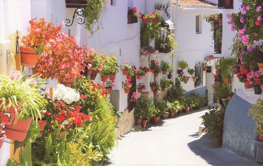 Picture 1 for Activity From Málaga: El Saltillo Gorge and White Village Hiking Tour