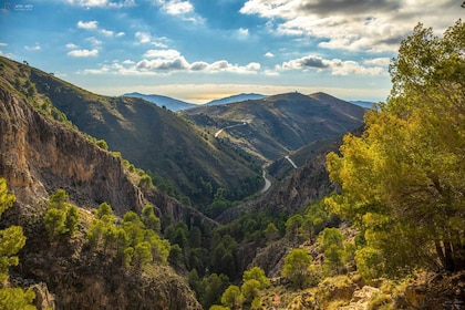 Depuis Malaga : randonnée dans les gorges d'El Saltillo et au village blanc