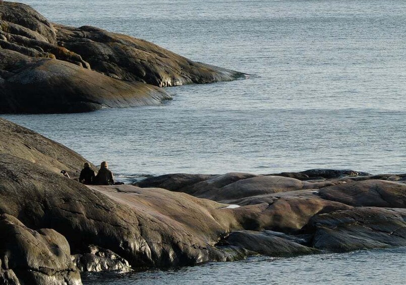 Picture 3 for Activity Helsinki: City and Outer Islands Guided RIB Boat Tour