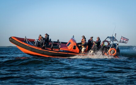 Helsinki: Excursión guiada en barco semirrígido por la ciudad y las islas e...