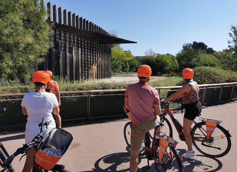 Picture 9 for Activity Lyon: 2-Hour Electric Bike Tour with a Local Guide