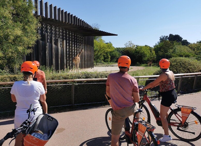 Picture 9 for Activity Lyon: 2-Hour Electric Bike Tour with a Local Guide