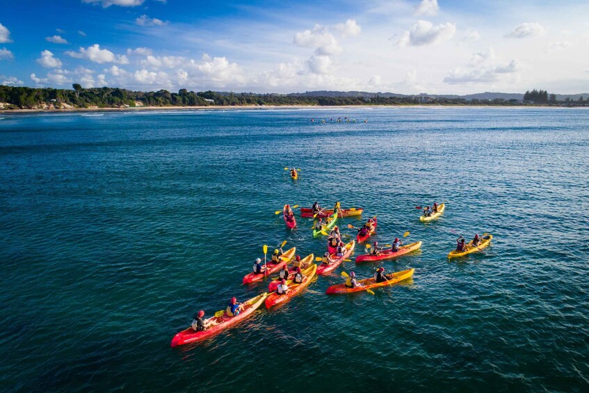 Picture 4 for Activity Byron Bay: Sea Kayak Tour with Dolphins and Turtles