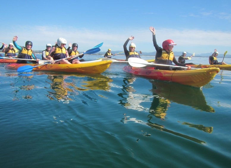 Picture 14 for Activity Byron Bay: Sea Kayak Tour with Dolphins and Turtles