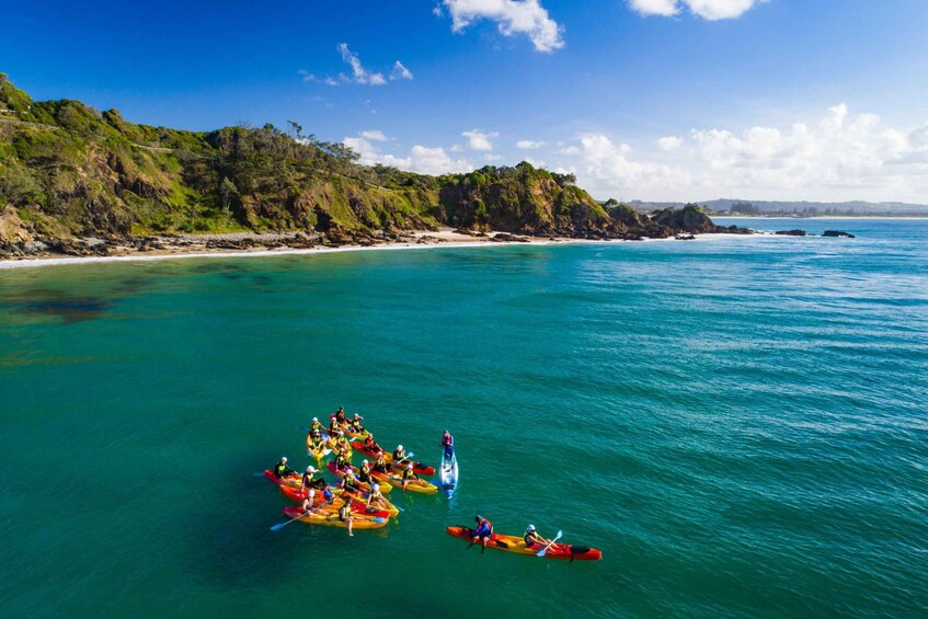 Byron Bay: Sea Kayak Tour with Dolphins and Turtles