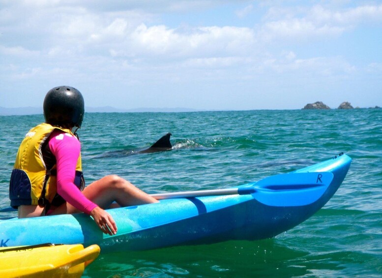 Picture 13 for Activity Byron Bay: Sea Kayak Tour with Dolphins and Turtles