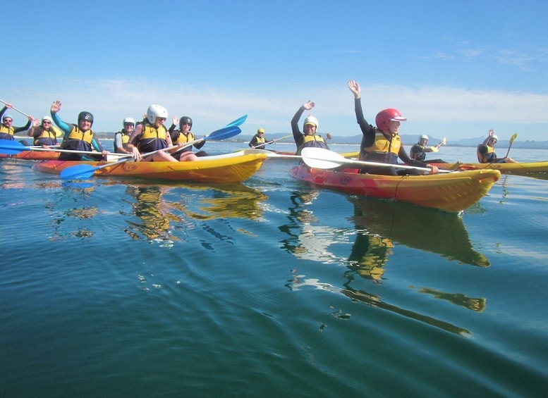 Picture 14 for Activity Byron Bay: Sea Kayak Tour with Dolphins and Turtles