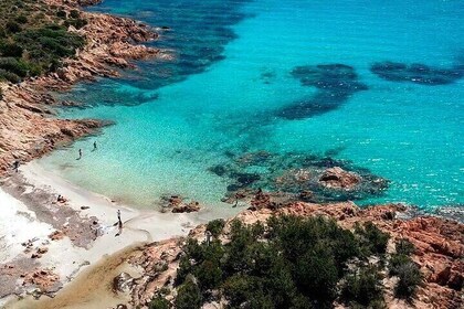 Half day in rubber dinghy in Cala Coticcio with snorkelling