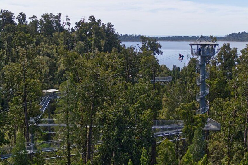 2-Hour Tower Zipline and Walkway Combo Private Guided Activity 