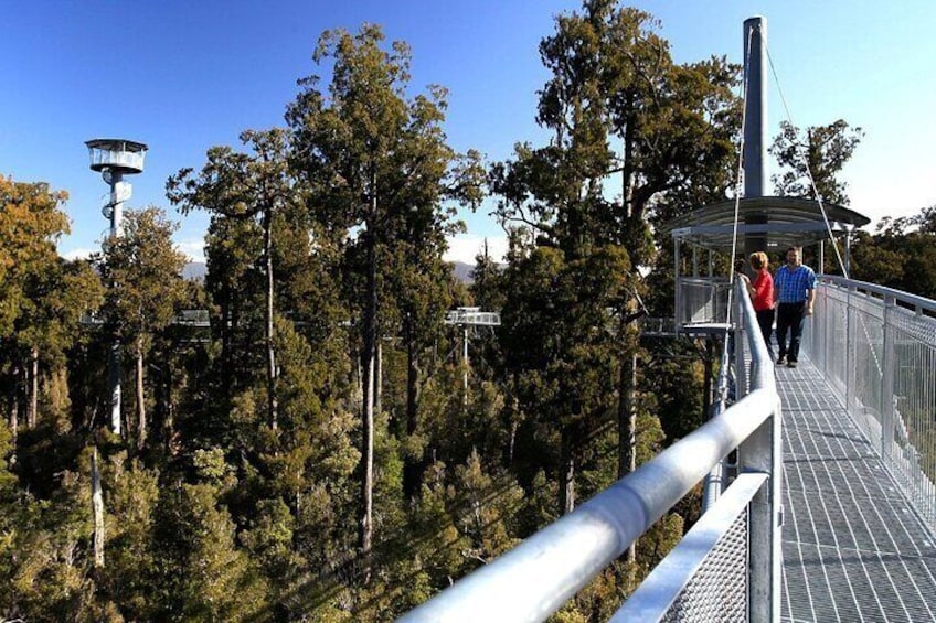 2-Hour Tower Zipline and Walkway Combo Private Guided Activity 