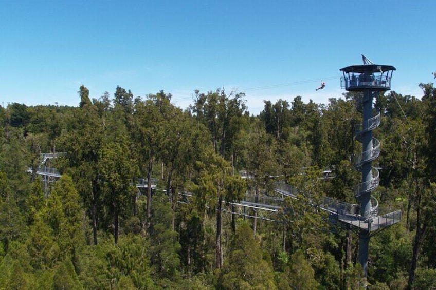 2-Hour Tower Zipline and Walkway Combo Private Guided Activity 