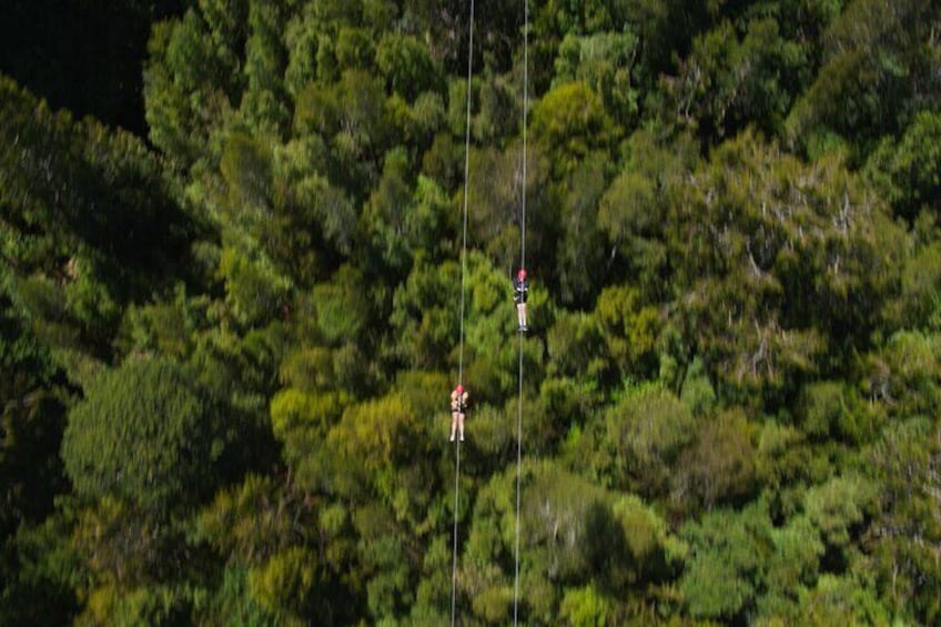 2-Hour Tower Zipline and Walkway Combo Private Guided Activity 