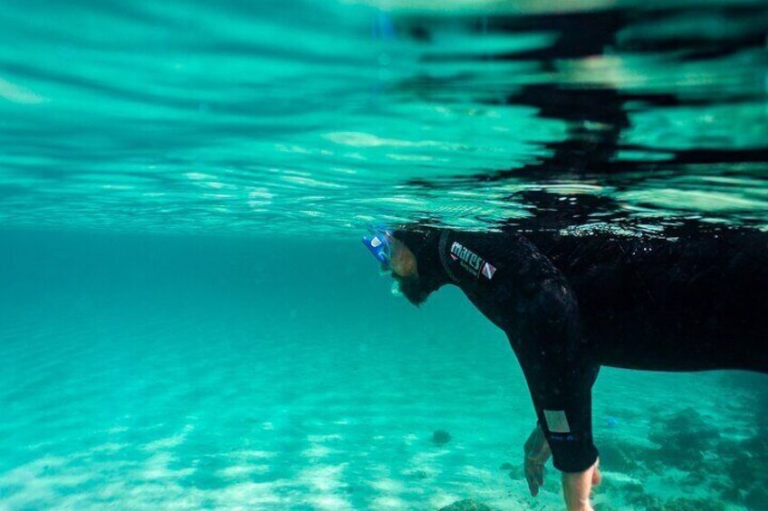 Guided snorkeling activity on the Island of Tarifa